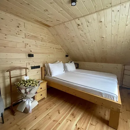 Gremi Hotel Dragobrat